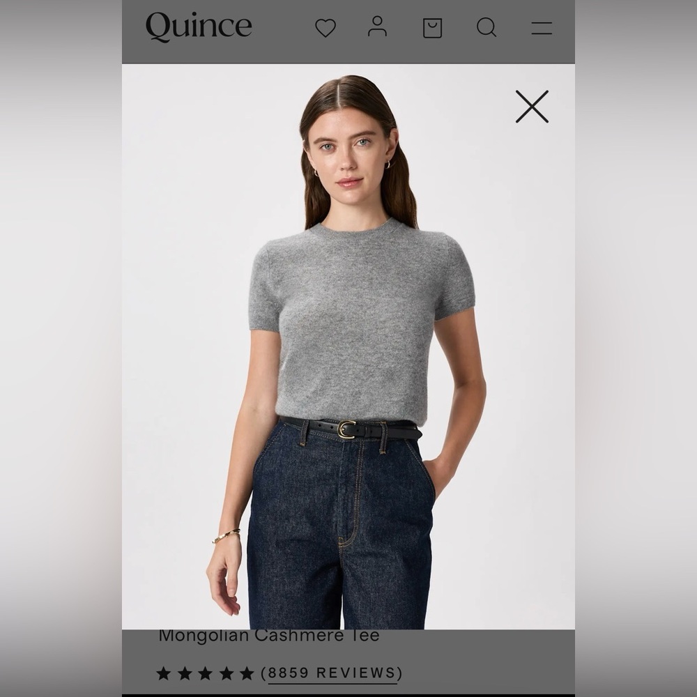 Quince cashmere t shirt sweater